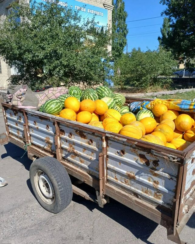 Наталья Великодная: Рейд по борьбе со стихийной торговлей в пгт Тельманово