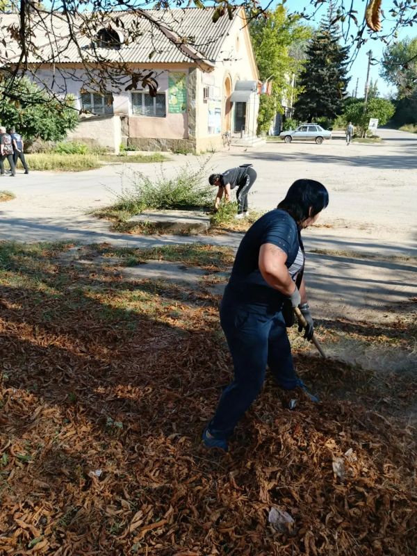 Благоустройство территорий: в пгт Мироновский продолжаются работы по наведению порядка Благоустройство территорий: в пгт Мироновский продолжаются работы по наведению порядка