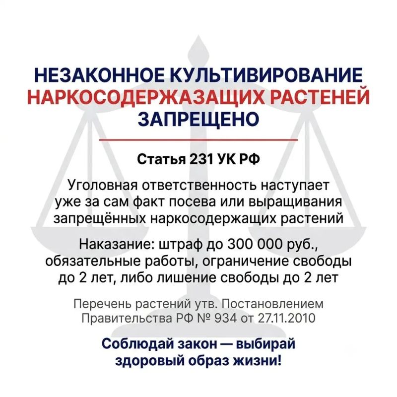 О недопустимости культивирования наркосодержащих растений