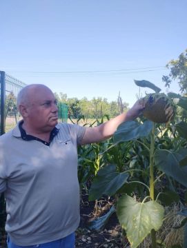В рамках партийного проекта «Российское село» активисты партии посетили городскую школу № 4
