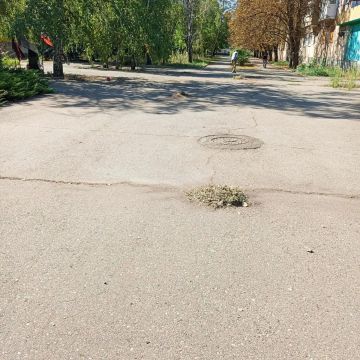 Благоустройство территории: в городском округе Дебальцево продолжаются работы по уборке и покосу травы