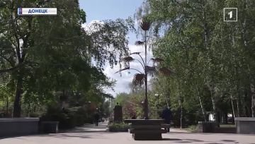Донецк глазами тех, кто знает его лучше всех! Дончане про донбасский характер!