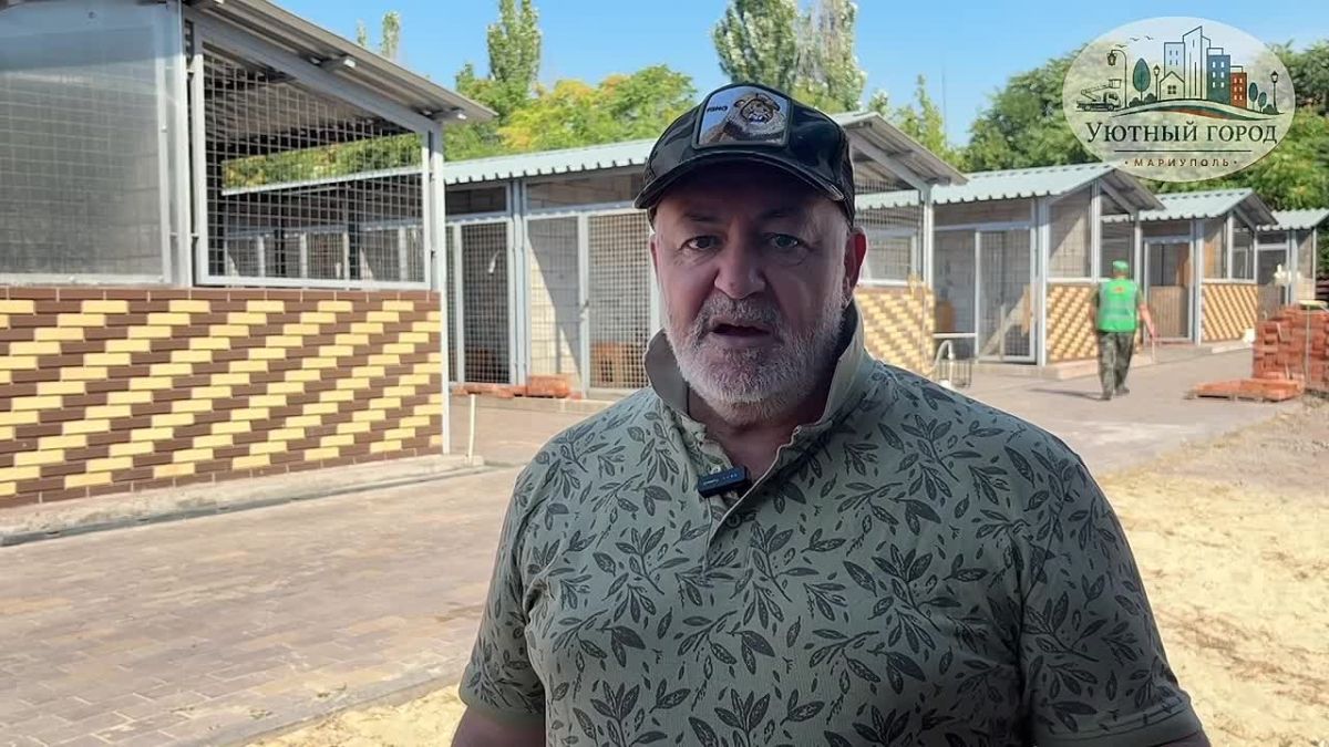 Шесть щенков и их мама спасены!