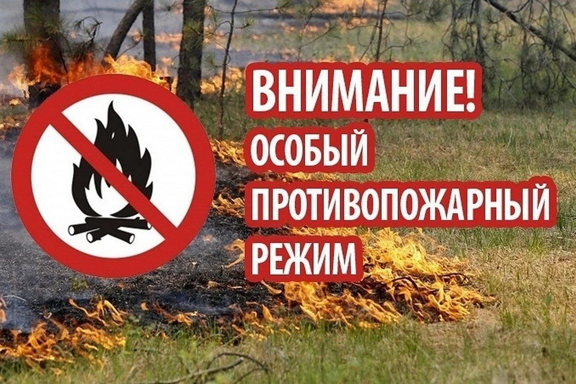 Роман Конев: Согласно постановлению Правительства ДНР № 37-9 от 07.05.2026, в период с 1 июня по 1 октября 2026 года на территории республики действует особый противопожарный режим