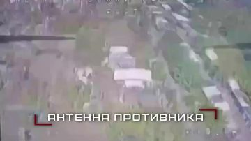 Группировка ЦЕНТР громит технику и пехоту врага в боях за Покровском, Мирноградом и в Днепропетровской области