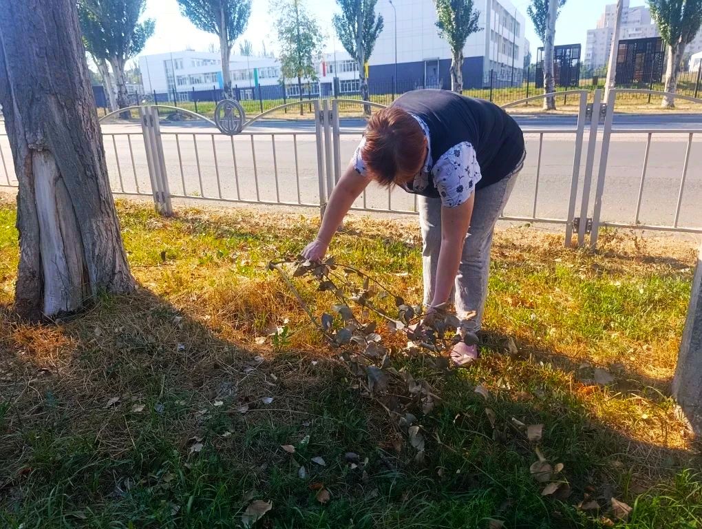 Уютный Мариуполь - наше общее дело Уютный Мариуполь - наше общее дело