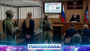 Лишение свободы на 13 лет за шпионаж и публичные призывы к терроризму