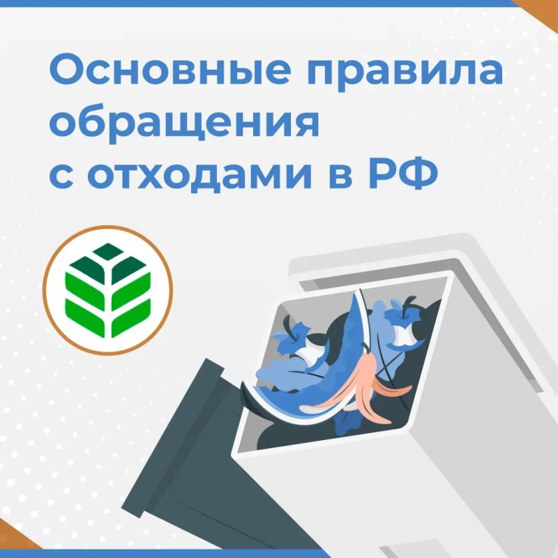 Основные правила обращения с отходами смотрите в карточках!