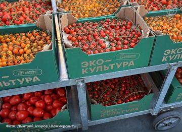 Структуры «ЭКО-культуры» возглавил выходец из Россельхозбанка