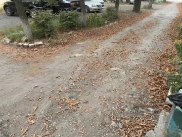 � ����������-��������� ������ �������� ������������ ����� ������� ����