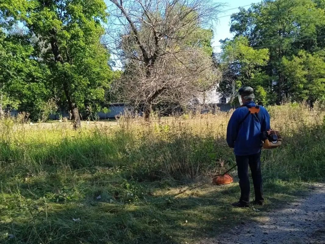 В Шахтерском округе продолжается благоустройство территории В Шахтерском округе продолжается благоустройство территории