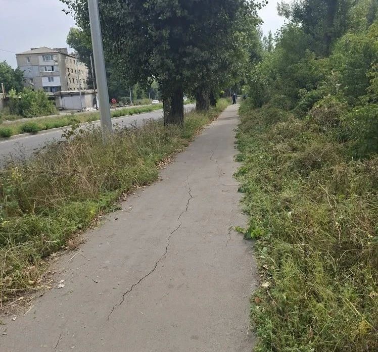 Сегодня, 27 августа, с целью приведения территории в надлежащее санитарное состояние сотрудниками Филиала № 5 «Ясиновский коксохимический завод» ООО «ЮГМК ДОНЕЦК» проведены работы по покосу сорных и карантинных трав по ул.... Сегодня, 27 августа, с целью приведения территории в надлежащее санитарное состояние сотрудниками Филиала № 5 «Ясиновский коксохимический завод» ООО «ЮГМК ДОНЕЦК» проведены работы по покосу сорных и карантинных трав по ул....