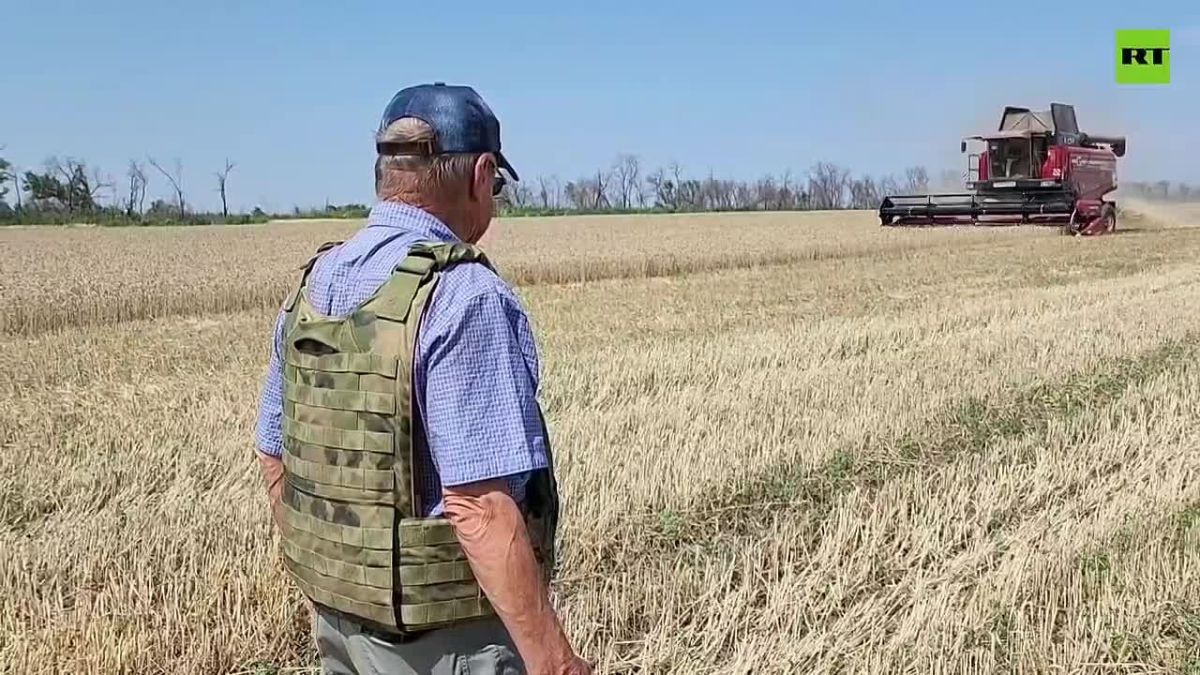Артем Крамаренко: Уборочная кампания в Донецкой Народной Республике по ранним зерновым и зернобобовым культурам завершена