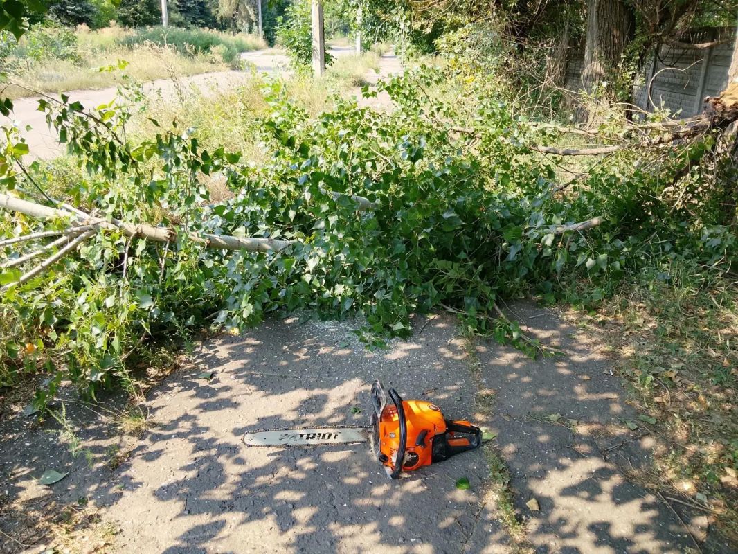 26 августа, в Кировском внутригородском районе с целью предупреждения возникновения аварийных ситуаций и несчастных случаев с населением, выполнены работы по обрезки надломившейся ветки над тротуаром в районе ГБПОУ...