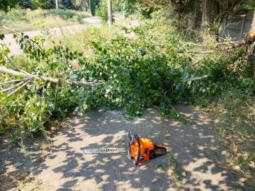 26 августа, в Кировском внутригородском районе с целью предупреждения возникновения аварийных ситуаций и несчастных случаев с населением, выполнены работы по обрезки надломившейся ветки над тротуаром в районе ГБПОУ...