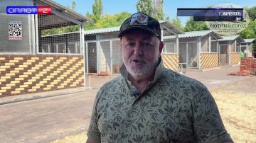 Маленькое чудо в Мариуполе: из бетонного плена спасли собаку и шестерых щенков