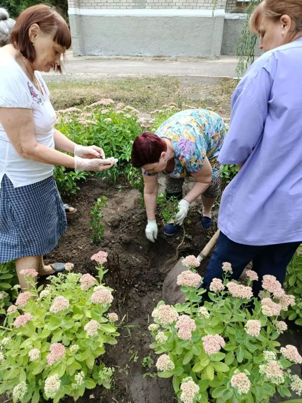 Елена Рязанцева: В Пролетарском районе продолжается еженедельная акция "Чистый четверг" в рамка проекта "Городская среда" Елена Рязанцева: В Пролетарском районе продолжается еженедельная акция "Чистый четверг" в рамка проекта "Городская среда"