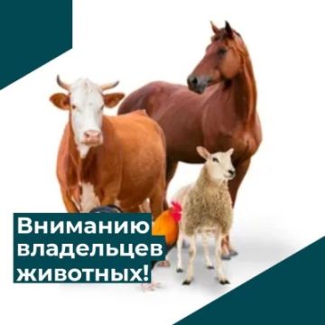 Внимание! Важная информация для владельцев животных