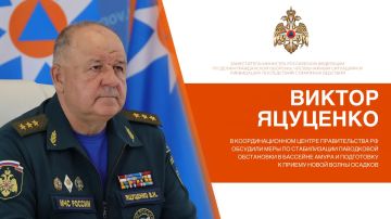 В Координационном центре Правительства РФ обсудили меры по стабилизации паводковой обстановки в бассейне Амура и подготовку к приему новой волны осадков