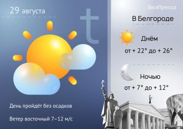Летнее тепло вернётся в Белгородскую область на выходных