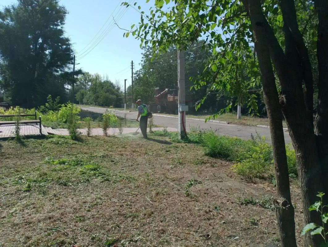 Сергей Юзвинкевич: В Володарском муниципальном округе продолжаются работы по покосу травы и содержанию территорий в надлежащем состоянии Сергей Юзвинкевич: В Володарском муниципальном округе продолжаются работы по покосу травы и содержанию территорий в надлежащем состоянии