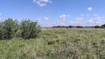 Под Воронежем снова никто не выкупил 115 га структуры концерна «Созвездие»