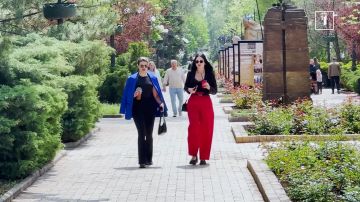 «Родина», «Миллион роз» и «Молодость» — всё это Донецк