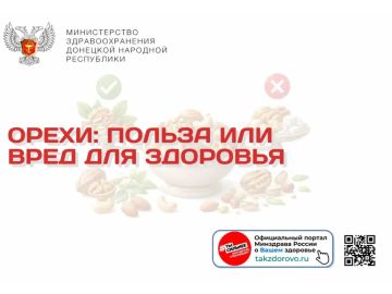 Орехи: польза или вред для здоровья