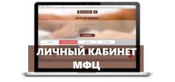 Управлять налогами стало проще: подключить личный кабинет можно через МФЦ ДНР
