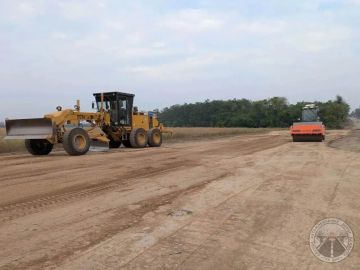 Благоустройство сквера в Ялте, ремонт дорог, отлов животных: о главном на утро 29 августа 2026 года