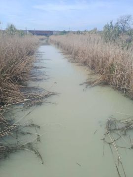 «Чистейшая» водичка в реке Кальчик в Мариуполе