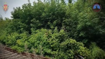 Целились по ж/д узлу и стройплощадке: над городами ДНР за неделю перехватили 57 вражеских дронов