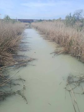 «Чистейшая» водичка в реке Кальчик в Мариуполе