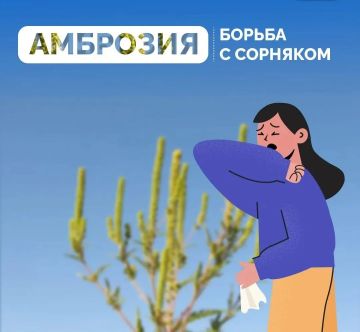 Установившаяся тёплая погода является благоприятными условиями для роста карантинной растительности