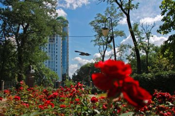 ������ ��������� ��������� ���������� ������ ���� ������� ���� � ������������ ������� ������!