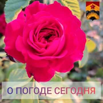 Александр Шатов: Гидрометцентр сообщил о погоде в Шахтерском округе