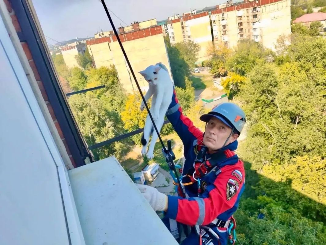 Спасатель из ВСКС помог котику спуститься с бетонной конструкции, на 9 этаже Спасатель из ВСКС помог котику спуститься с бетонной конструкции, на 9 этаже