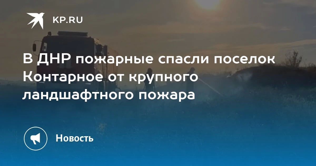 В ДНР пожарные спасли поселок Контарное от крупного ландшафтного пожара