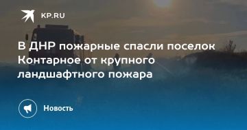 В ДНР пожарные спасли поселок Контарное от крупного ландшафтного пожара