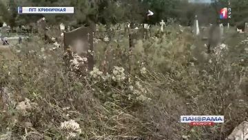 Кладбище-призрак. Из-за зарослей в Криничной стали пропадать могилы