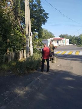Елена Рязанцева: Сегодня Управой Пролетарского внутригородского района ведутся работы по покосу травы вдоль дороги по ул. Зверькова