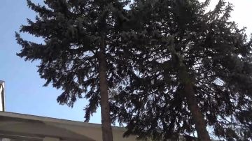 ����� 570 ����� ���������� � �������� � ��������������� ����� �5 ��. �.�.����� � �������, ��������������� ��������-����� �������