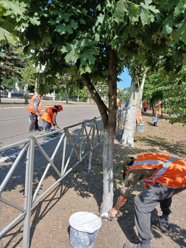 Коммунальщики Снежного продолжают благоустраивать территории общего пользования Коммунальщики Снежного продолжают благоустраивать территории общего пользования