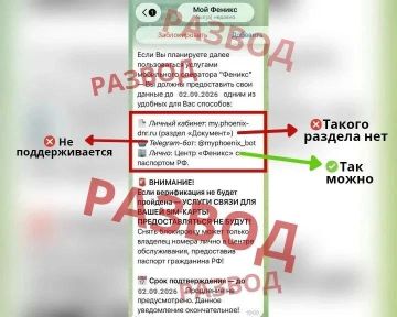 ���� ���������� ����� �����������: ��������� ������� ������ ������� ����������� � ��������� ���������