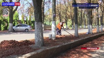 В Харцызске коммунальные службы готовят город к осени: приводят в порядок обочины и убирают опавшую листву