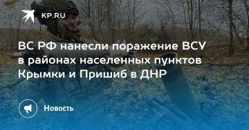 ВС РФ нанесли поражение ВСУ в районах населенных пунктов Крымки и Пришиб в ДНР