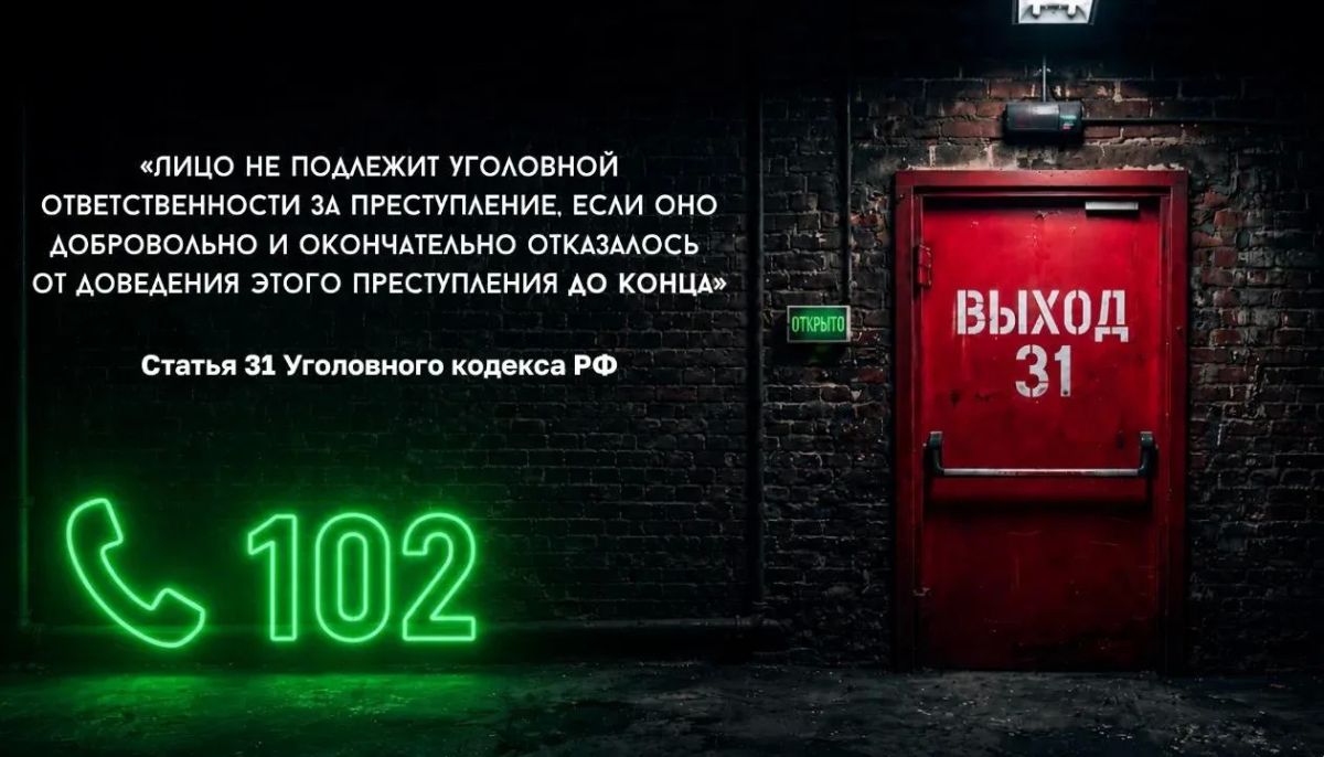 Ирина Волк: Если прямо сейчас тебя пытаются заставить совершить преступление — выход есть Ирина Волк: Если прямо сейчас тебя пытаются заставить совершить преступление — выход есть