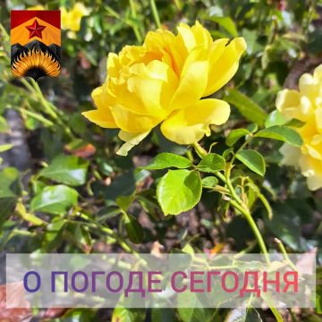 ��������� �����: ������������� ������� � ������ � ���������� ������