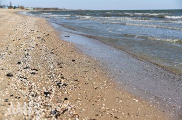 В Азовском море завершился заморный период