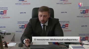 Около 9,5 тысяч граждан воспользовались системой «Мобильный избиратель» в ДНР